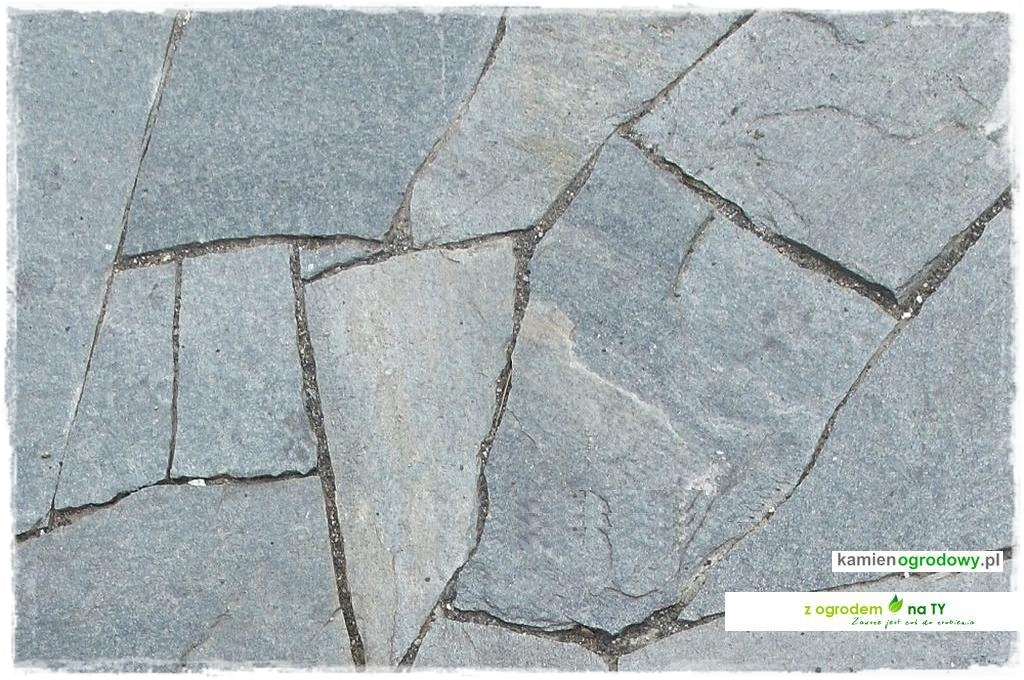 SCIEZKOWY_zogrodemnaty11