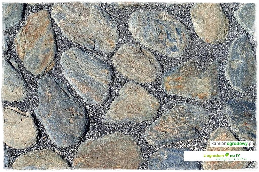 SCIEZKOWY_zogrodemnaty12