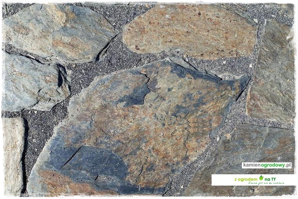 SCIEZKOWY_zogrodemnaty13