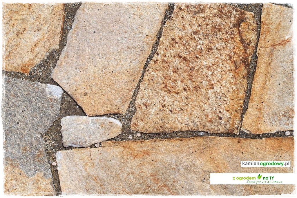 SCIEZKOWY_zogrodemnaty14