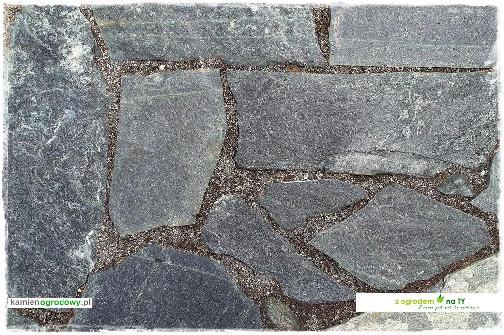 SCIEZKOWY_zogrodemnaty5