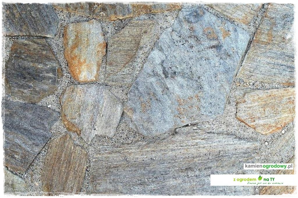 SCIEZKOWY_zogrodemnaty6