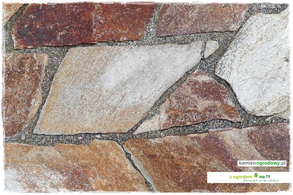 SCIEZKOWY_zogrodemnaty7