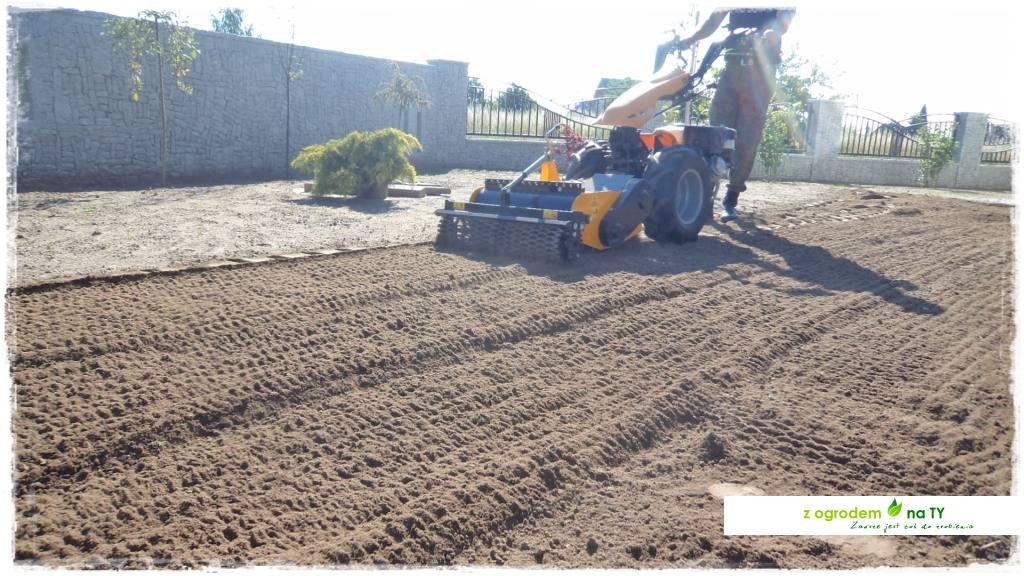 SIANIEzogrodemnaty13