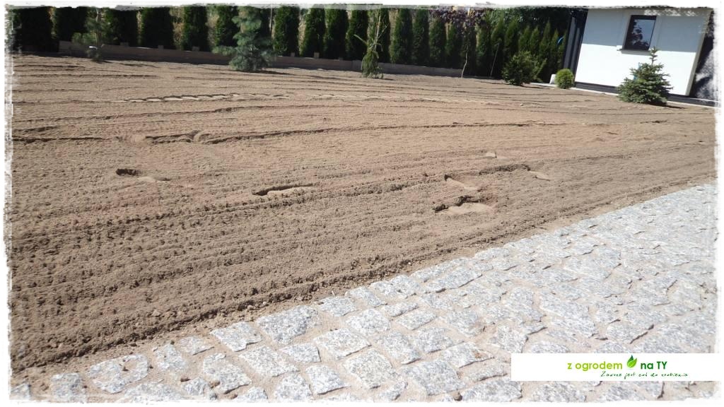 SIANIEzogrodemnaty20