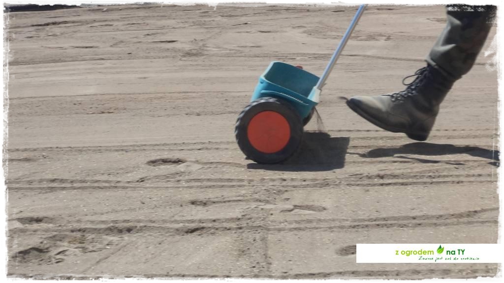 SIANIEzogrodemnaty29