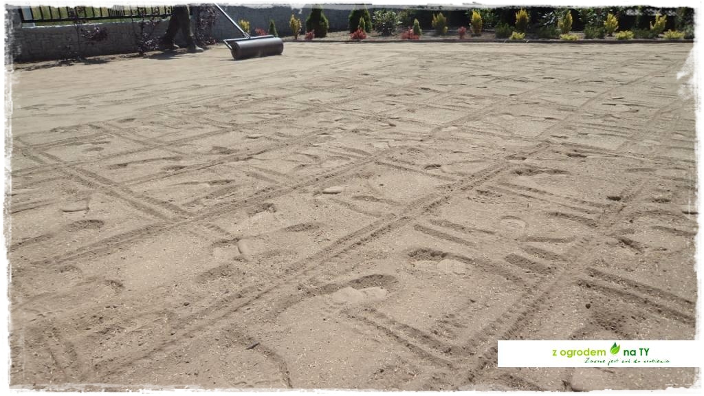 SIANIEzogrodemnaty38