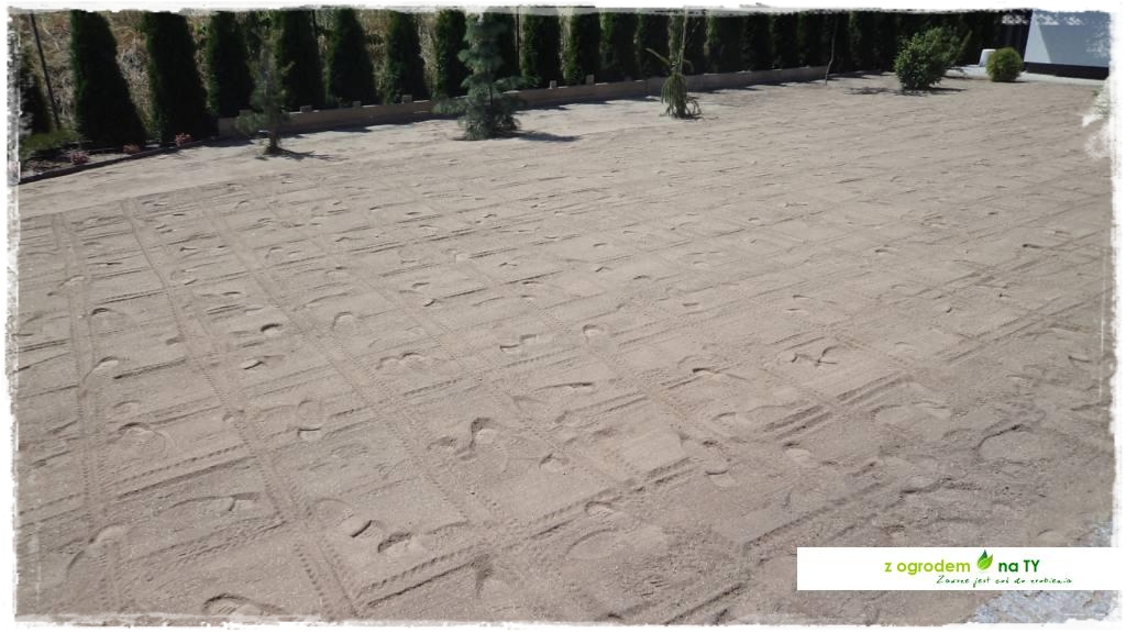 SIANIEzogrodemnaty39