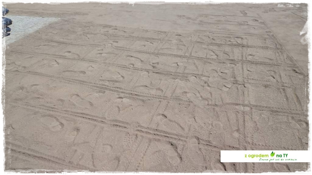 SIANIEzogrodemnaty41