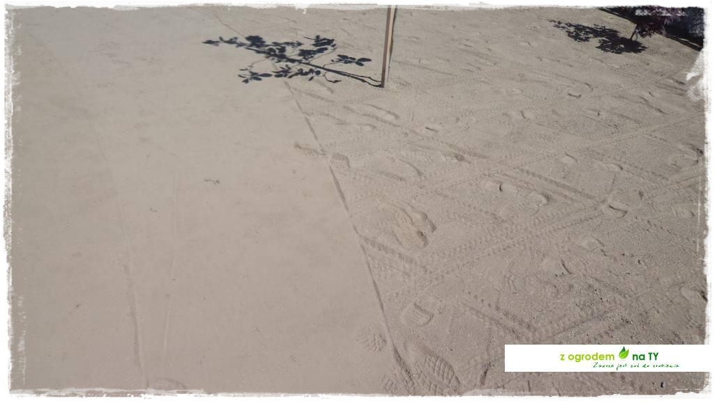 SIANIEzogrodemnaty42