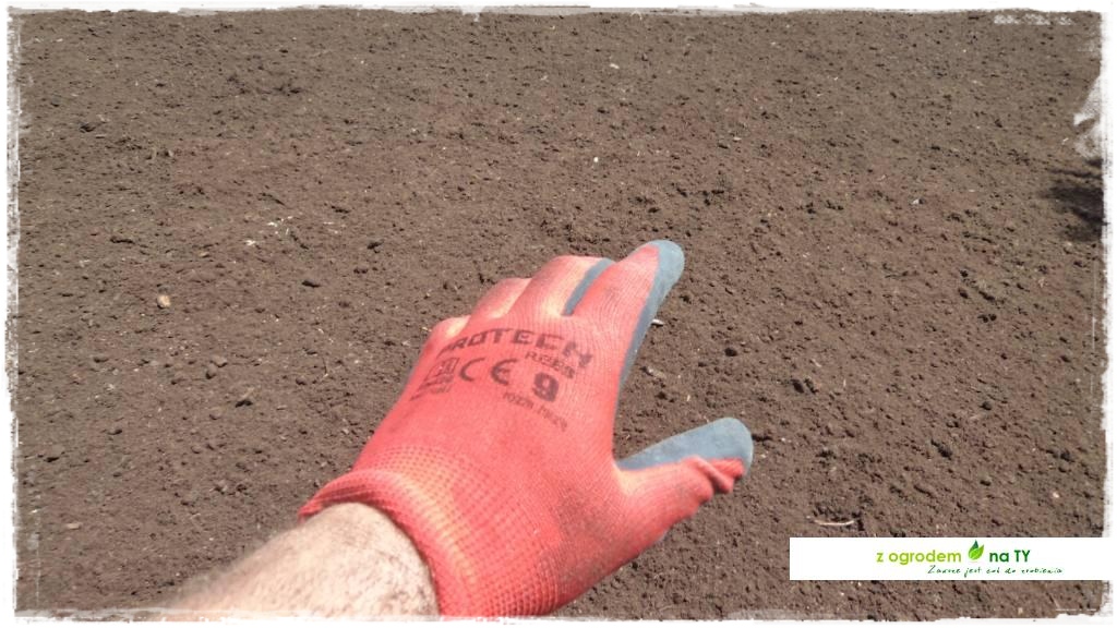 SIANIEzogrodemnaty48