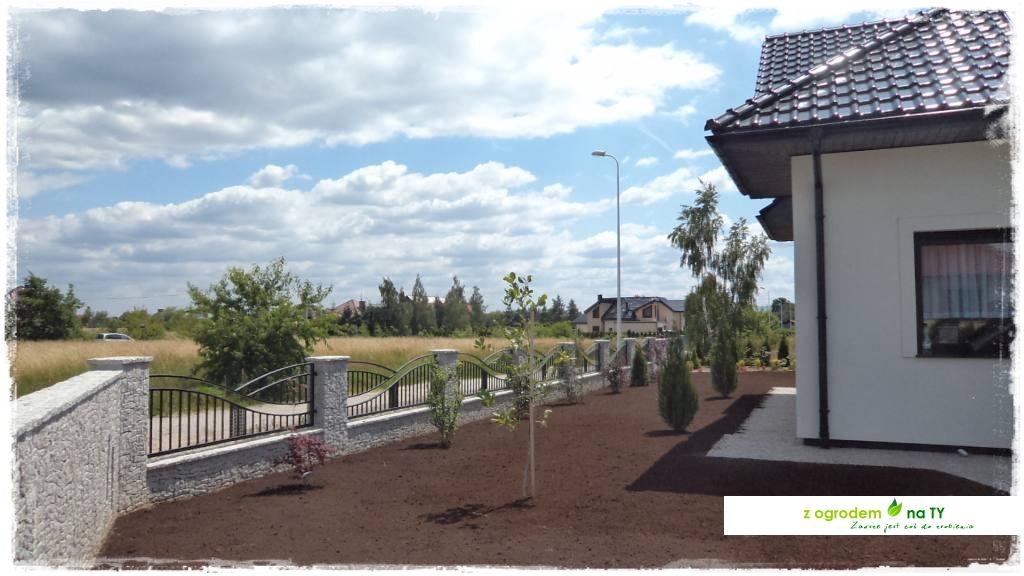 SIANIEzogrodemnaty50