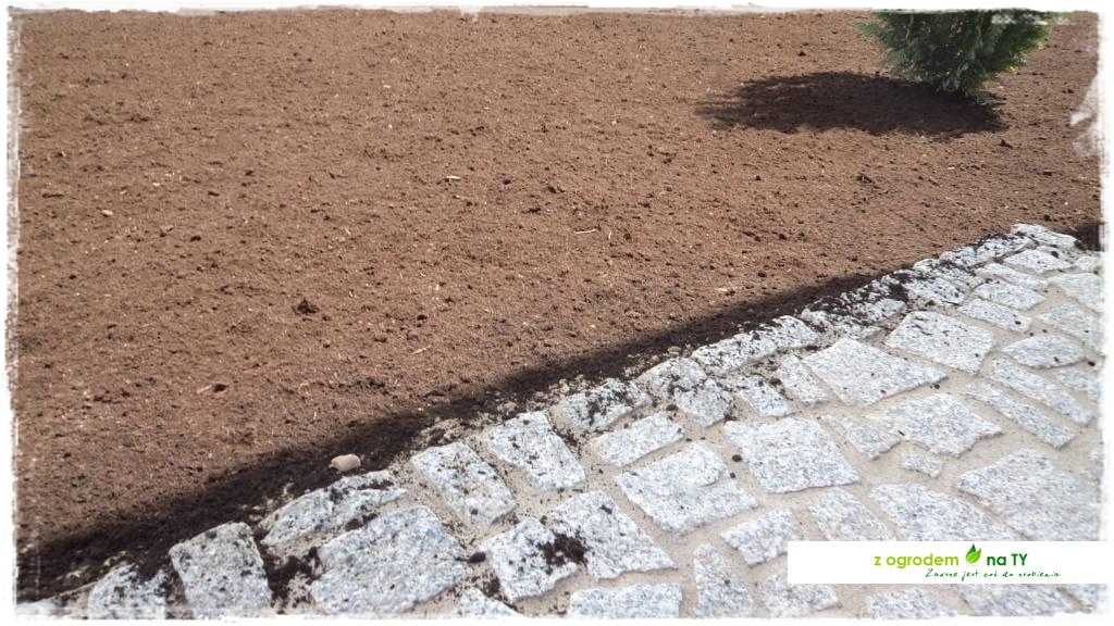 SIANIEzogrodemnaty51