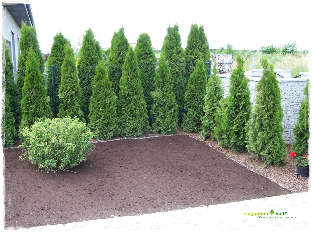 SIANIEzogrodemnaty55