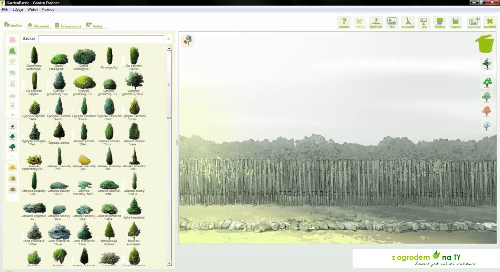 2Drzewa i krzewy iglaste