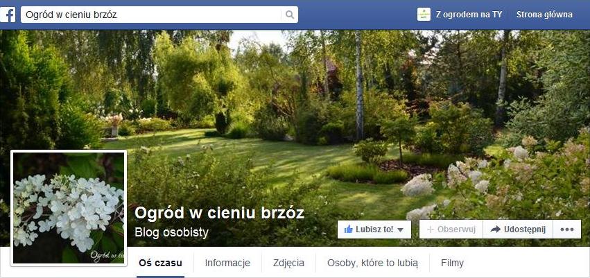 Ogród w cieniu brzóz