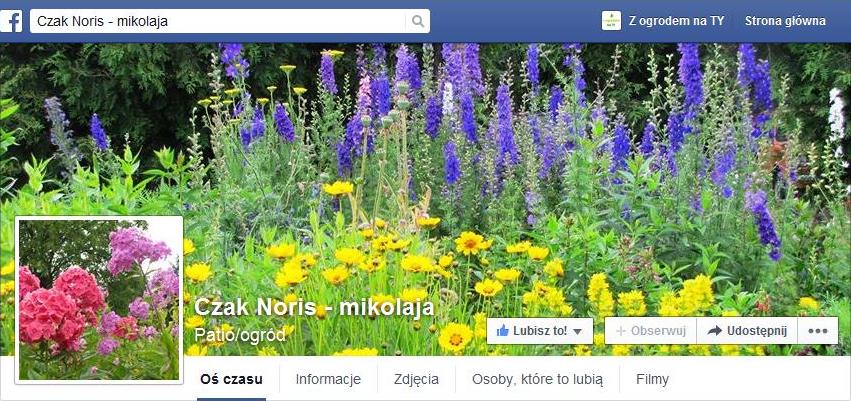 Czak Noris - mikolaja