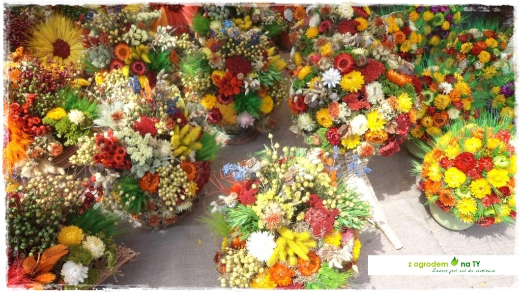 LATO_KWIATOWzogrodemnaty101