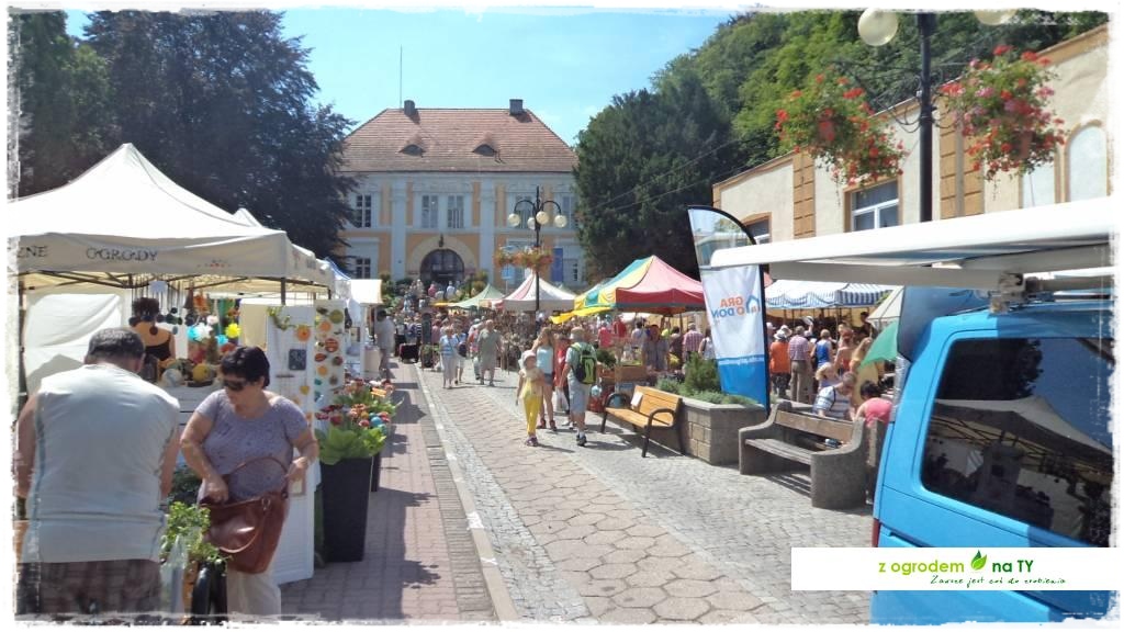 LATO_KWIATOWzogrodemnaty11