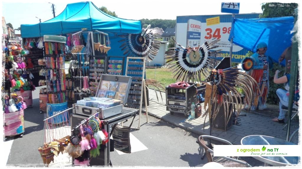 LATO_KWIATOWzogrodemnaty112