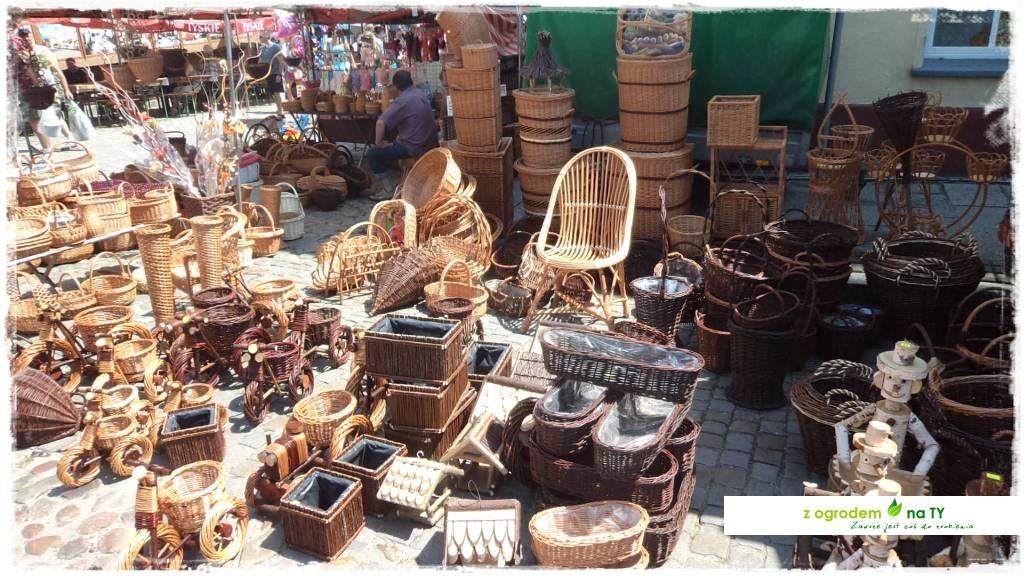 LATO_KWIATOWzogrodemnaty116