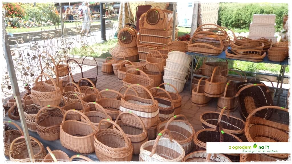 LATO_KWIATOWzogrodemnaty119