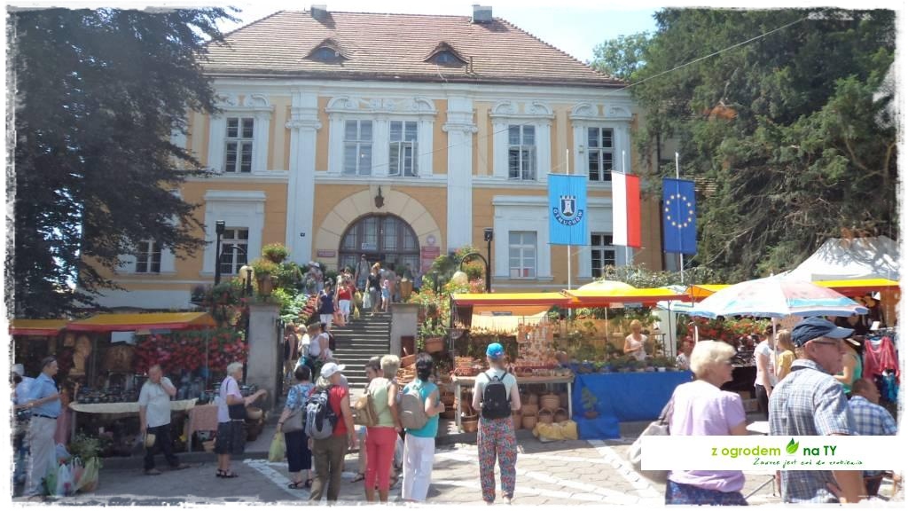 LATO_KWIATOWzogrodemnaty12