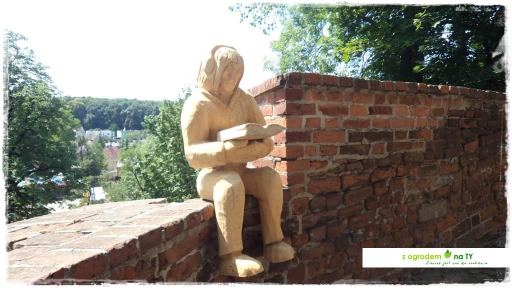 LATO_KWIATOWzogrodemnaty122