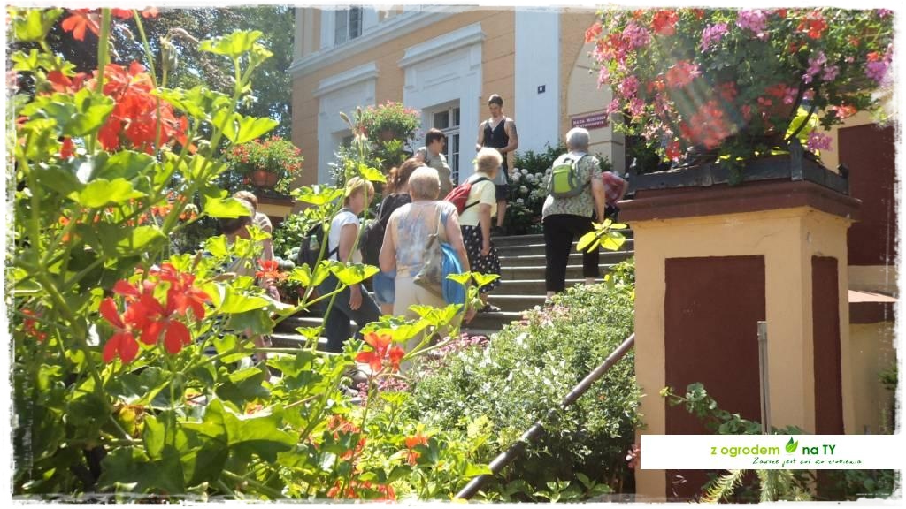 LATO_KWIATOWzogrodemnaty13