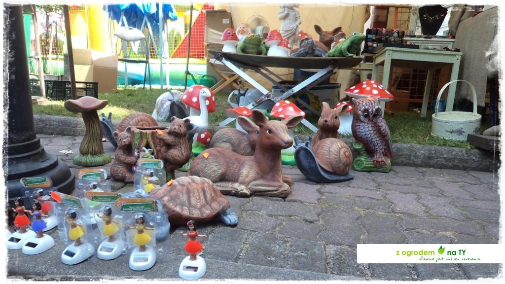 LATO_KWIATOWzogrodemnaty130