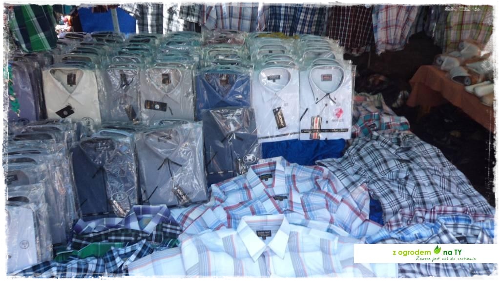 LATO_KWIATOWzogrodemnaty131