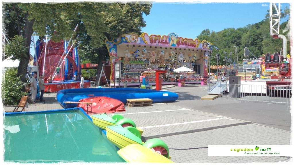 LATO_KWIATOWzogrodemnaty133