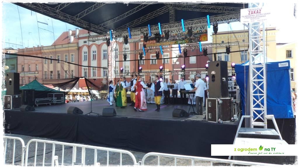 LATO_KWIATOWzogrodemnaty137