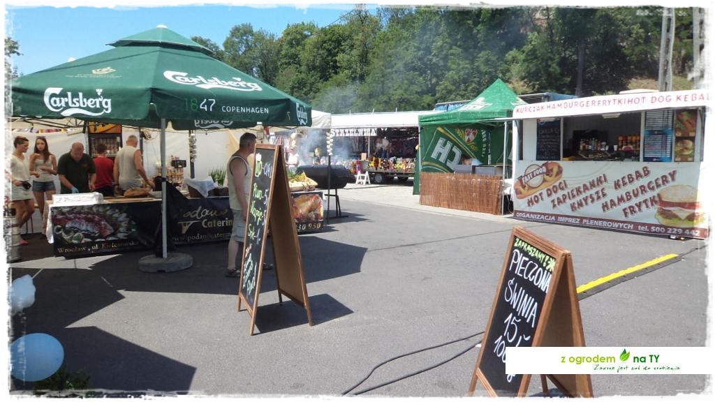 LATO_KWIATOWzogrodemnaty138