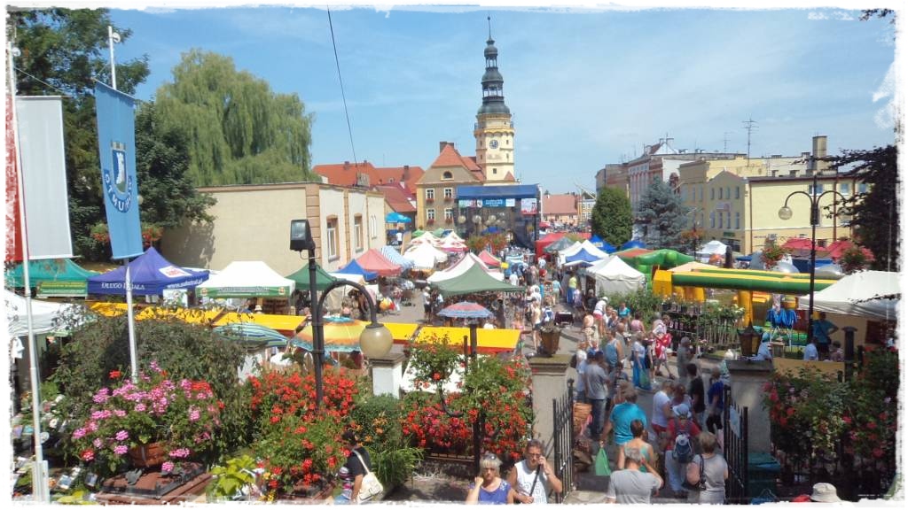 LATO_KWIATOWzogrodemnaty14