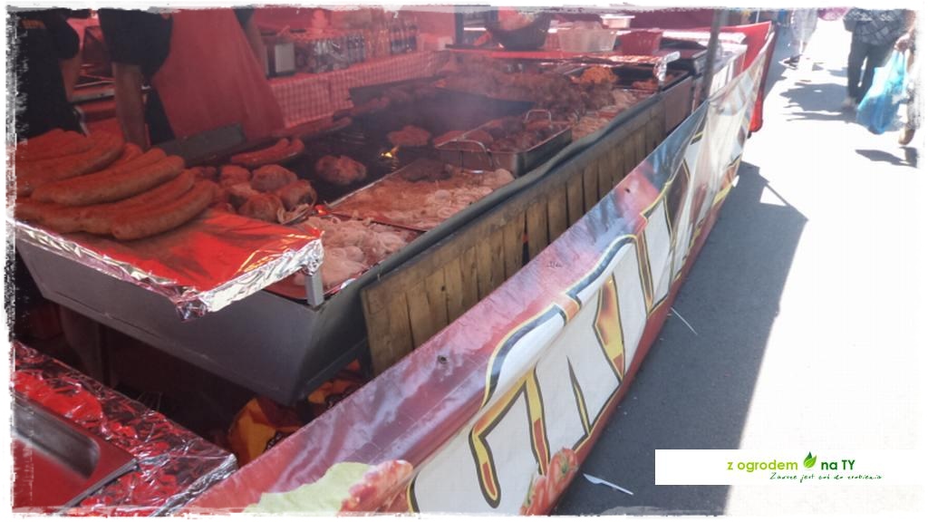 LATO_KWIATOWzogrodemnaty140