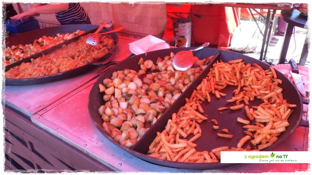 LATO_KWIATOWzogrodemnaty141