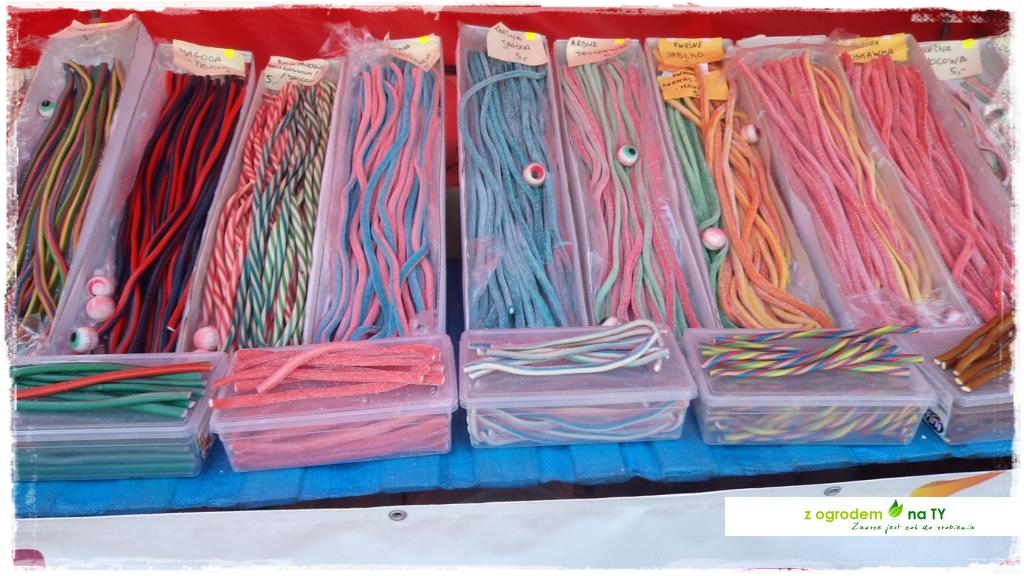 LATO_KWIATOWzogrodemnaty145