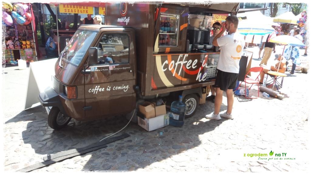 LATO_KWIATOWzogrodemnaty146