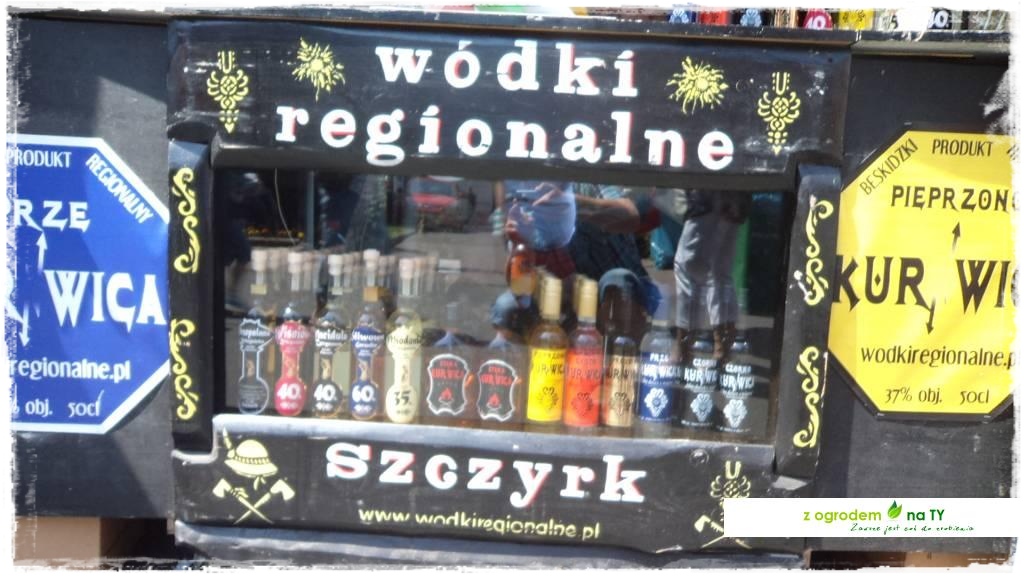 LATO_KWIATOWzogrodemnaty147