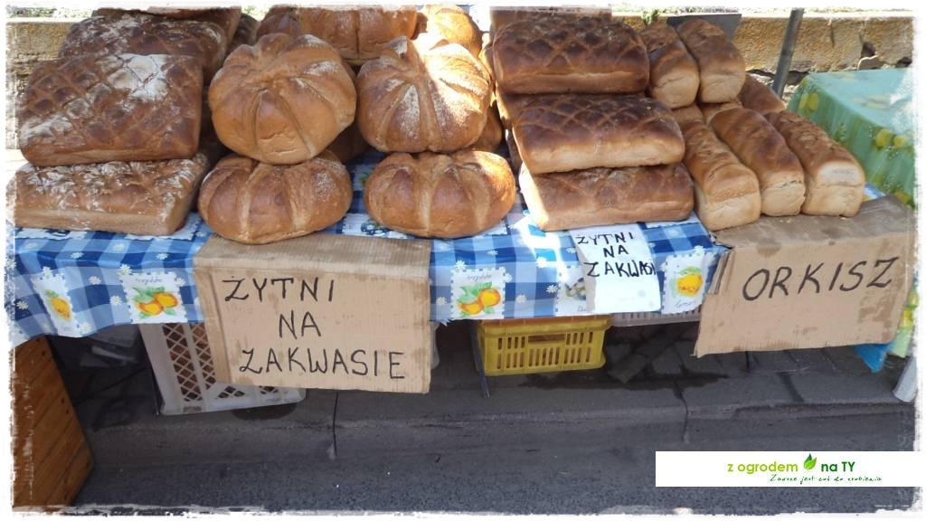 LATO_KWIATOWzogrodemnaty149