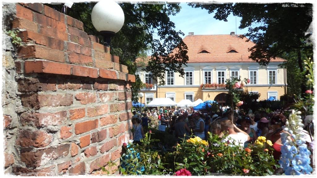 LATO_KWIATOWzogrodemnaty15