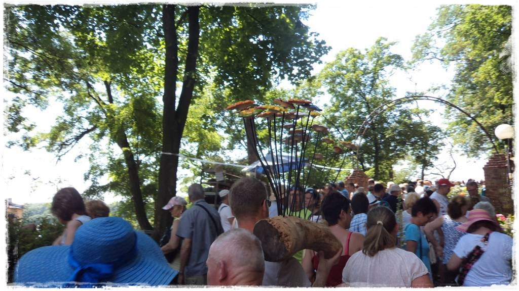 LATO_KWIATOWzogrodemnaty16