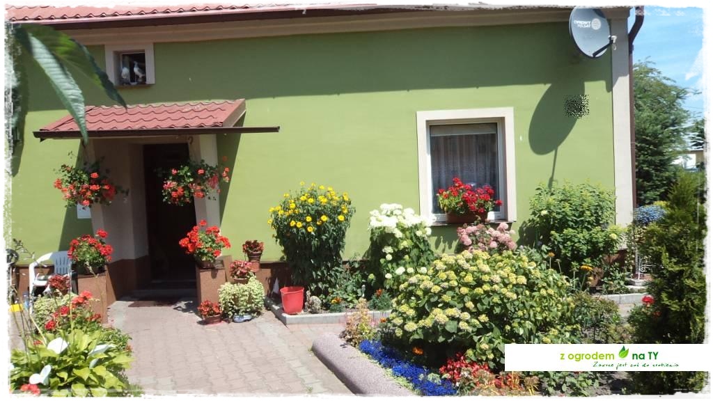 LATO_KWIATOWzogrodemnaty2