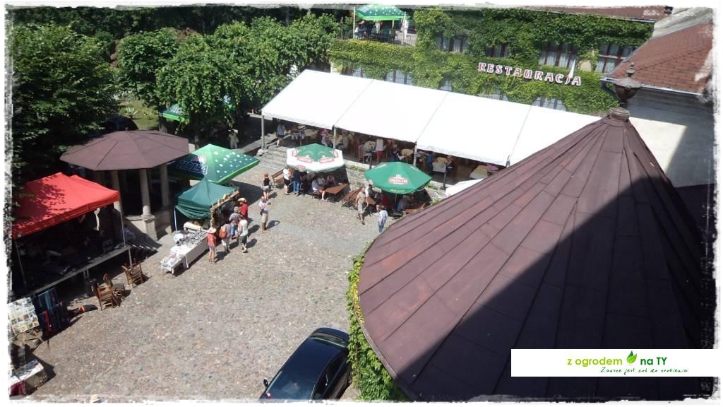 LATO_KWIATOWzogrodemnaty21