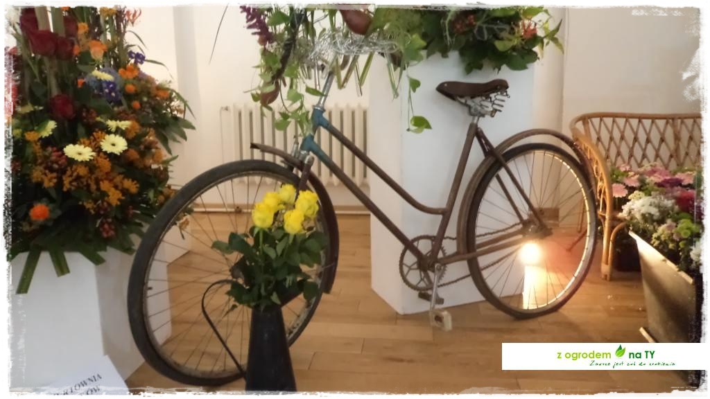 LATO_KWIATOWzogrodemnaty27