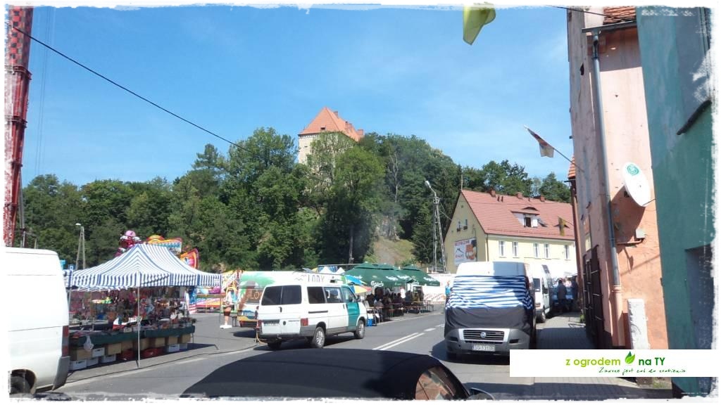 LATO_KWIATOWzogrodemnaty3