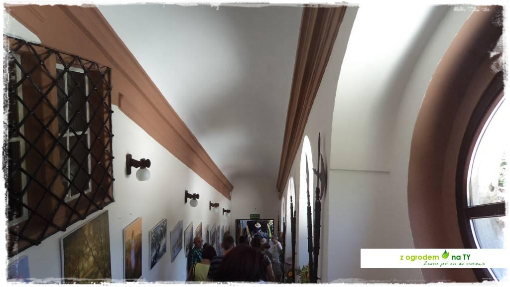 LATO_KWIATOWzogrodemnaty31