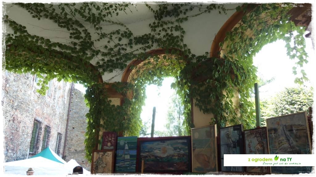 LATO_KWIATOWzogrodemnaty32