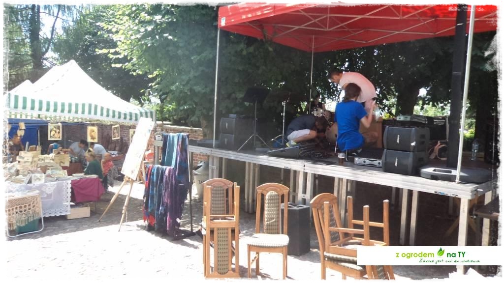 LATO_KWIATOWzogrodemnaty33